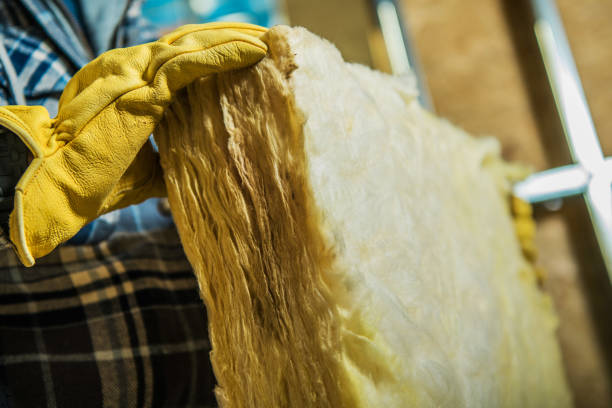 Best Energy Efficiency Insulation in Hammond, IN